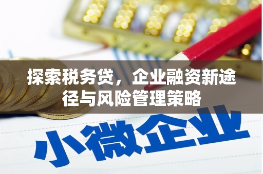 新建探索税务贷，企业融资新途径与风险管理策略