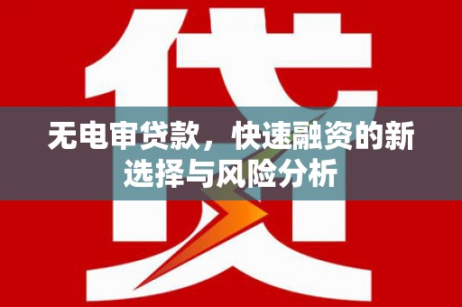 新建无电审贷款，快速融资的新选择与风险分析