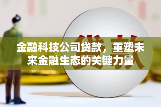 新建金融科技公司贷款，重塑未来金融生态的关键力量