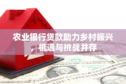 新建农业银行贷款助力乡村振兴，机遇与挑战并存