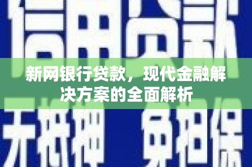 新建新网银行贷款，现代金融解决方案的全面解析