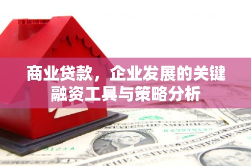 新建商业贷款，企业发展的关键融资工具与策略分析