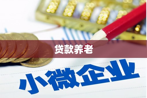 新建贷款养老