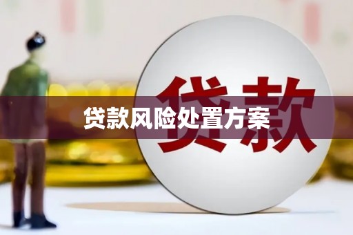 新建贷款风险处置方案