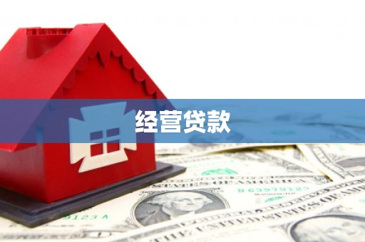 新建经营贷款