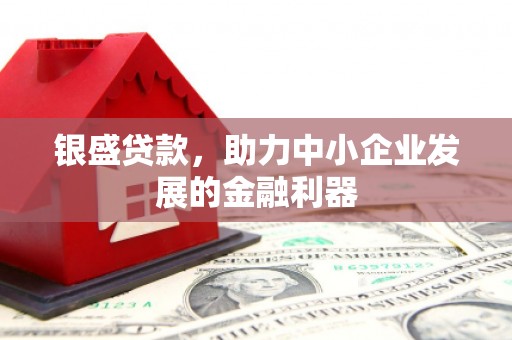 新建银盛贷款，助力中小企业发展的金融利器