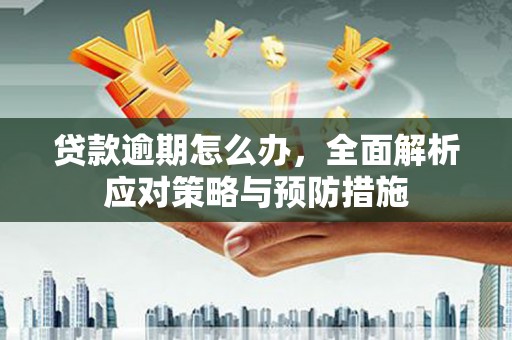 新建贷款逾期怎么办，全面解析应对策略与预防措施