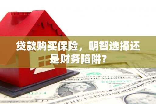 新建贷款购买保险，明智选择还是财务陷阱？