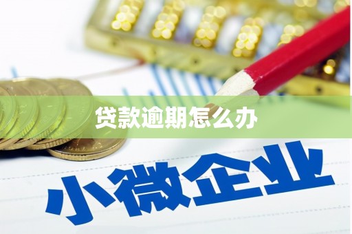 新建贷款逾期怎么办