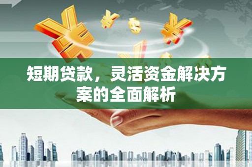 新建短期贷款，灵活资金解决方案的全面解析