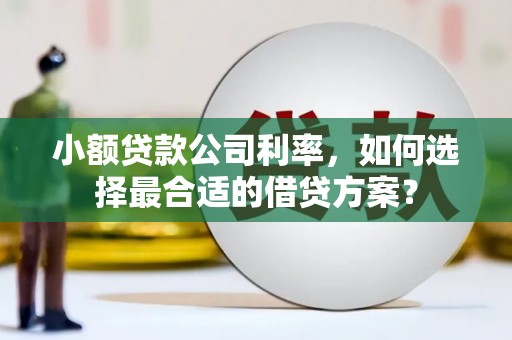 新建小额贷款公司利率，如何选择最合适的借贷方案？