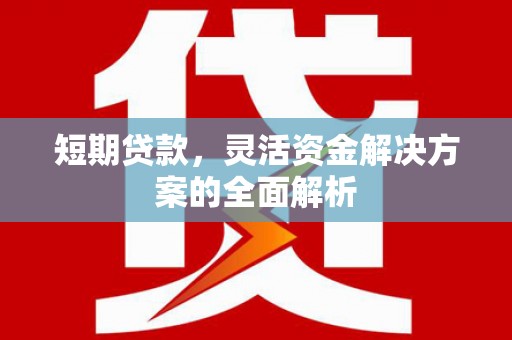 新建短期贷款，灵活资金解决方案的全面解析