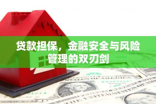 新建贷款担保，金融安全与风险管理的双刃剑