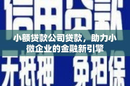 新建小额贷款公司贷款，助力小微企业的金融新引擎