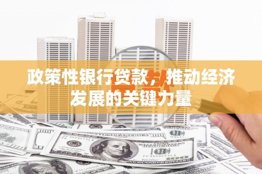新建政策性银行贷款，推动经济发展的关键力量