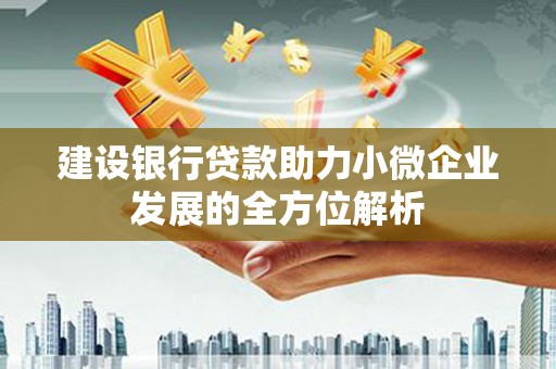 新建建设银行贷款助力小微企业发展的全方位解析