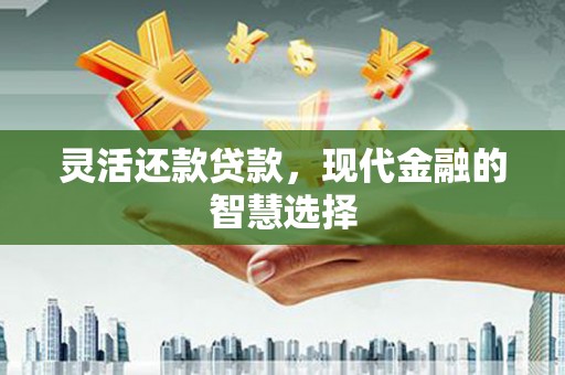 新建灵活还款贷款，现代金融的智慧选择