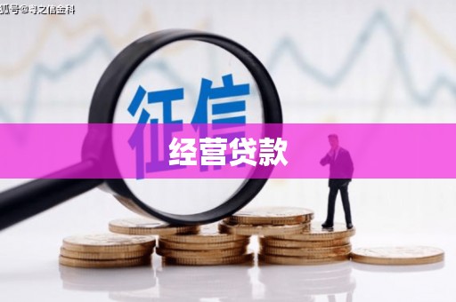新建经营贷款