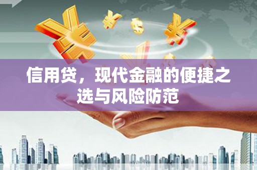 新建信用贷，现代金融的便捷之选与风险防范