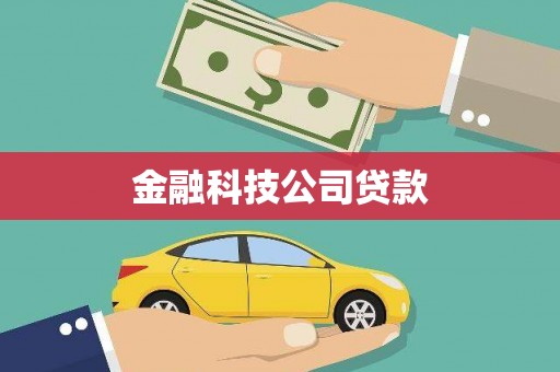 新建金融科技公司贷款