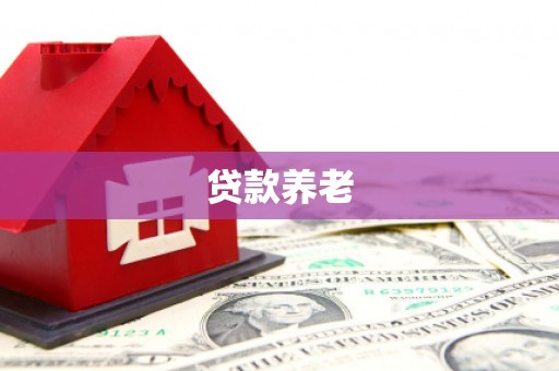 新建贷款养老