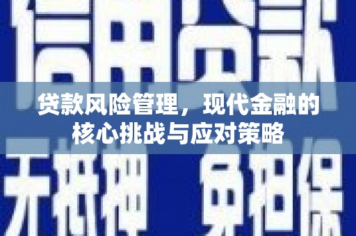 新建贷款风险管理，现代金融的核心挑战与应对策略