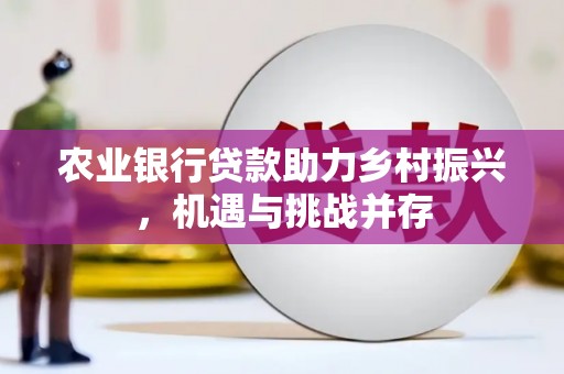 新建农业银行贷款助力乡村振兴，机遇与挑战并存