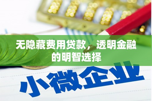 新建无隐藏费用贷款，透明金融的明智选择