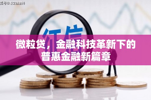 新建微粒贷，金融科技革新下的普惠金融新篇章