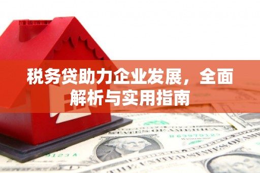 新建税务贷助力企业发展，全面解析与实用指南