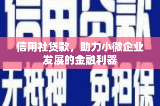新建信用社贷款，助力小微企业发展的金融利器