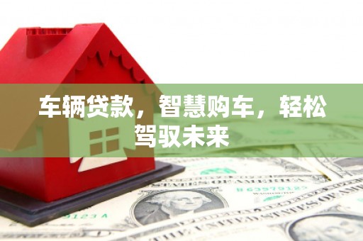 新建车辆贷款，智慧购车，轻松驾驭未来