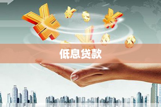 新建低息贷款