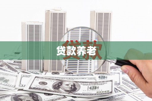 新建贷款养老
