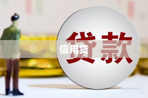 新建信用贷