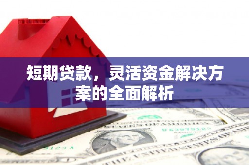 新建短期贷款，灵活资金解决方案的全面解析