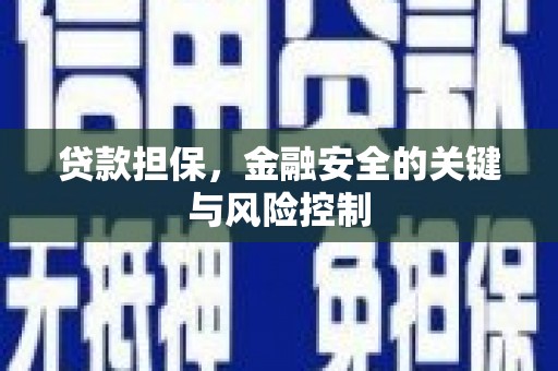 新建贷款担保，金融安全的关键与风险控制