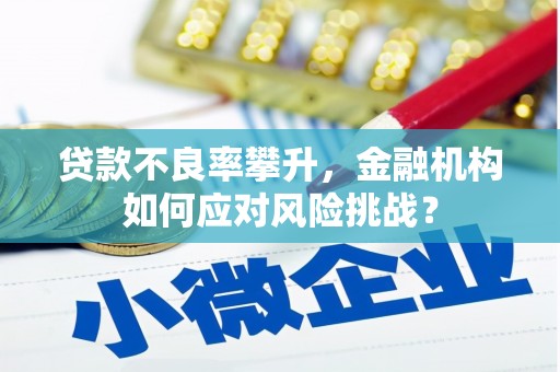 新建贷款不良率攀升，金融机构如何应对风险挑战？