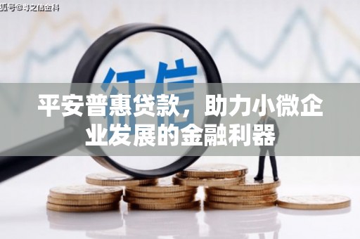 新建平安普惠贷款，助力小微企业发展的金融利器