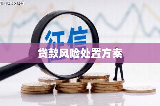 新建贷款风险处置方案