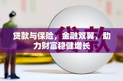 新建贷款与保险，金融双翼，助力财富稳健增长