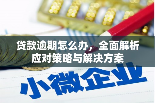 新建贷款逾期怎么办，全面解析应对策略与解决方案