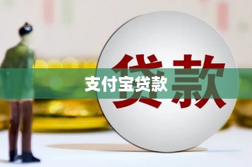 新建支付宝贷款