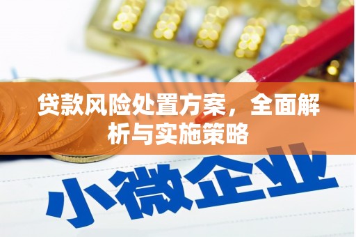 新建贷款风险处置方案，全面解析与实施策略